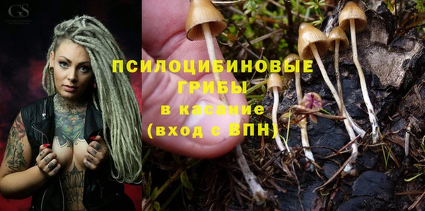 меф Медвежьегорск